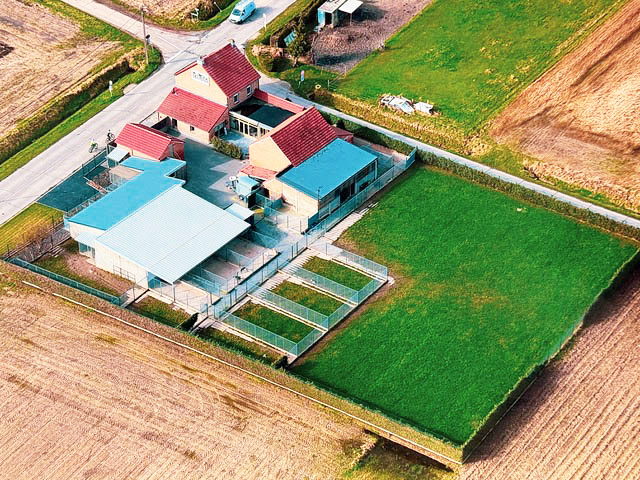 de_roelhoeve-8 Hondenhotel De Roelhoeve